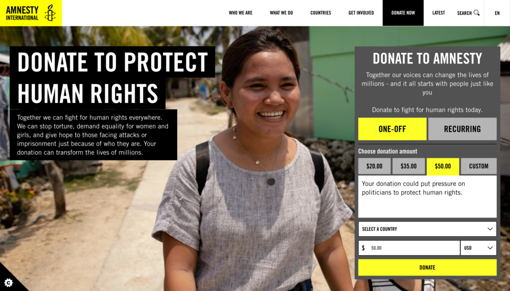 Amnesty International donation page